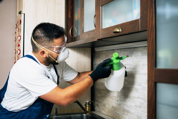 Best Pest Removal Services  in High Ridge, MO
