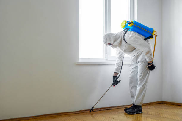 Best Wildlife Control Services  in High Ridge, MO