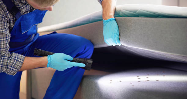 Best Best Pest Control Companies  in High Ridge, MO